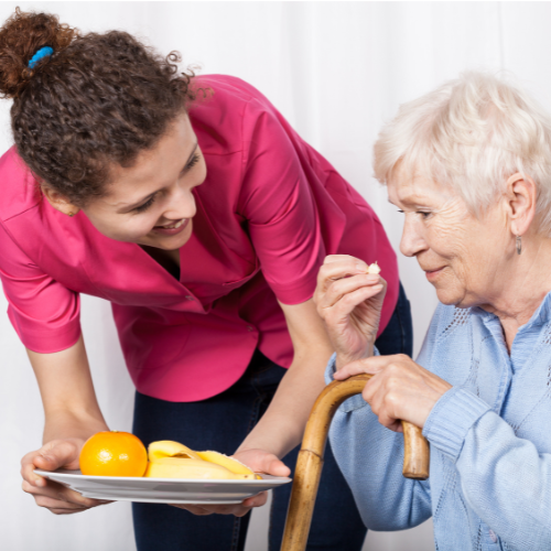 HomeCare Services